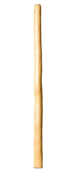 Medium Size Natural Finish Didgeridoo (TW1469)
